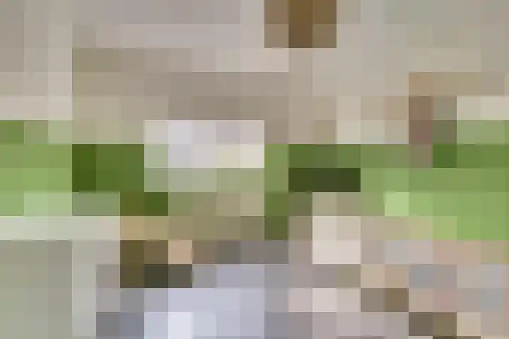 Prins Alexandererf 10 Nunspeet thumbnail 22