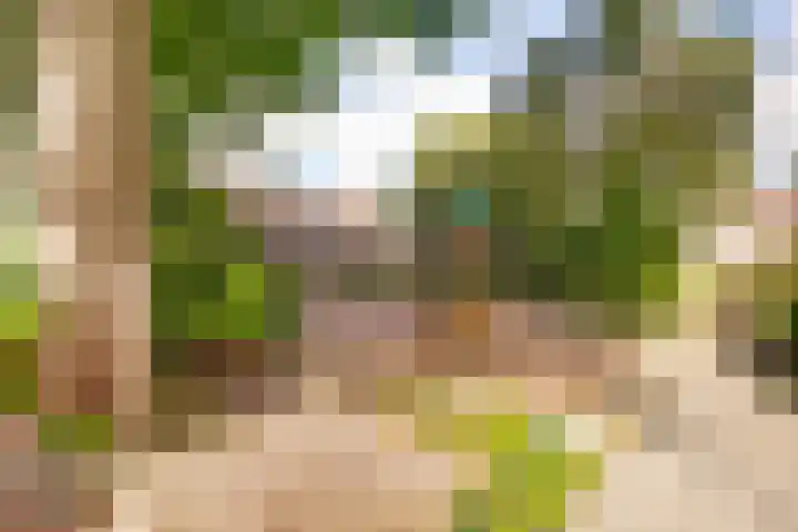 Prins Alexandererf 10 Nunspeet thumbnail 34