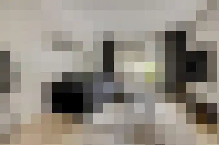 Prins Alexandererf 10 Nunspeet thumbnail 6