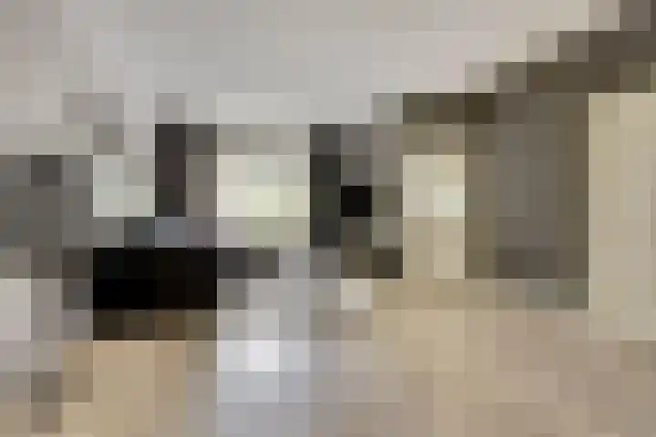 Prins Alexandererf 10 Nunspeet thumbnail 7
