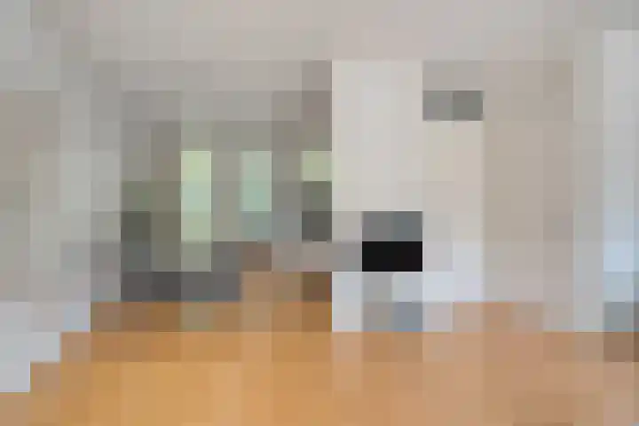 Prins Alexandererf 55 Nunspeet thumbnail 13