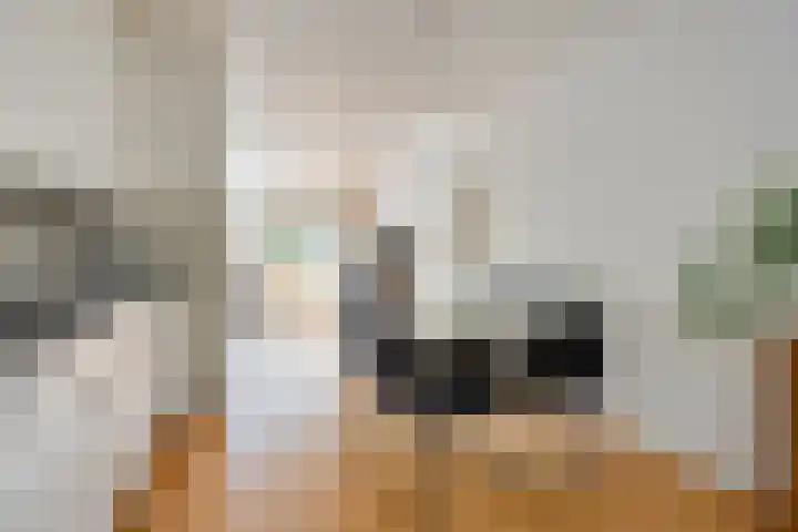 Prins Alexandererf 55 Nunspeet thumbnail 15