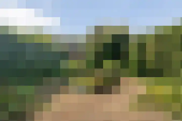 Prins Alexandererf 55 Nunspeet thumbnail 24