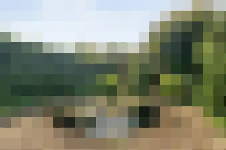 Prins Alexandererf 55 Nunspeet thumbnail 25