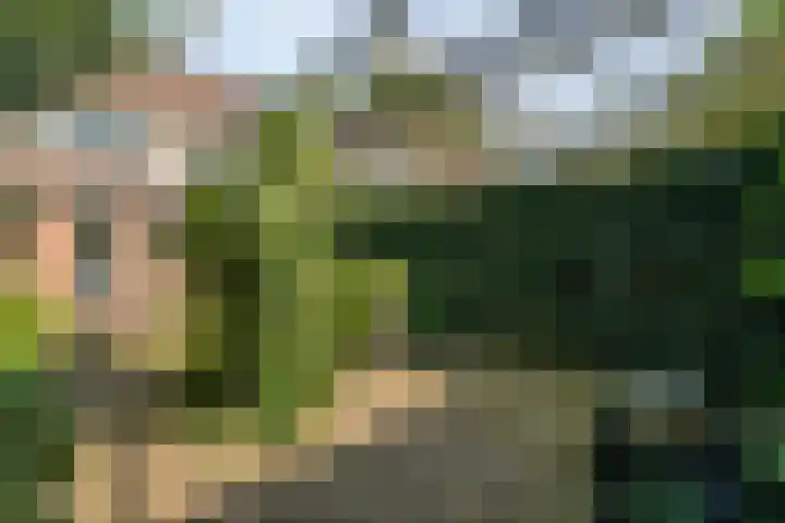 Prins Alexandererf 55 Nunspeet thumbnail 27