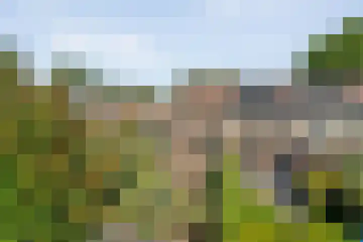 Prins Alexandererf 55 Nunspeet thumbnail 29