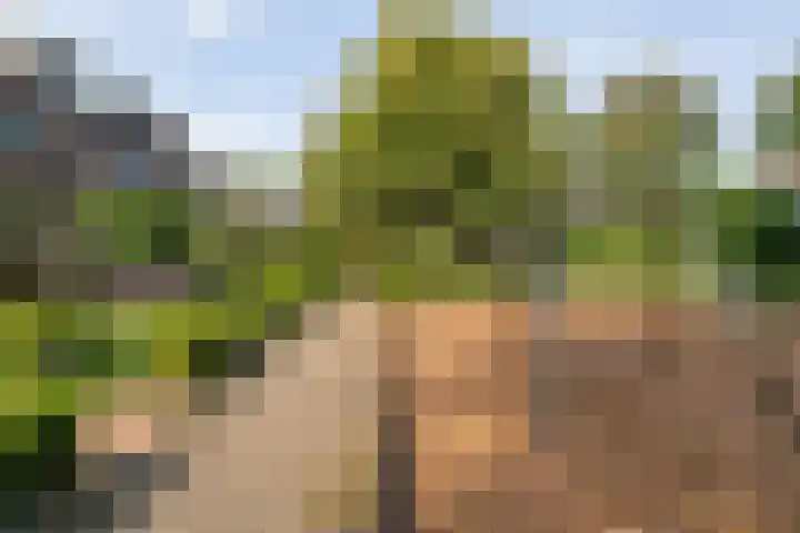 Prins Alexandererf 55 Nunspeet thumbnail 31