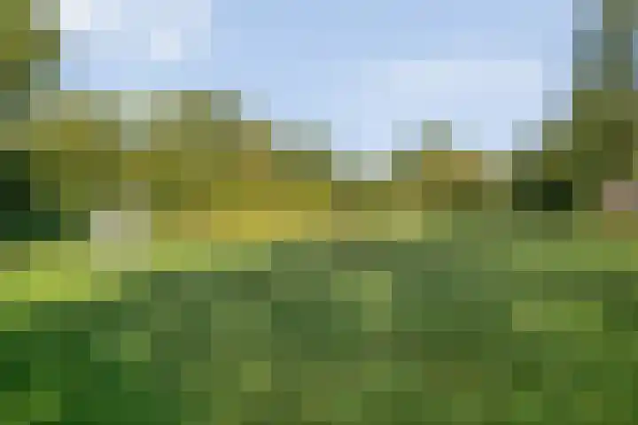 Prins Alexandererf 55 Nunspeet thumbnail 32