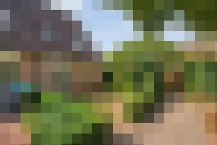 Prins Alexandererf 55 Nunspeet thumbnail 4
