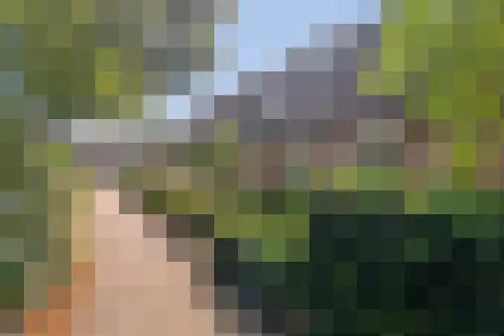Prins Alexandererf 55 Nunspeet thumbnail 5