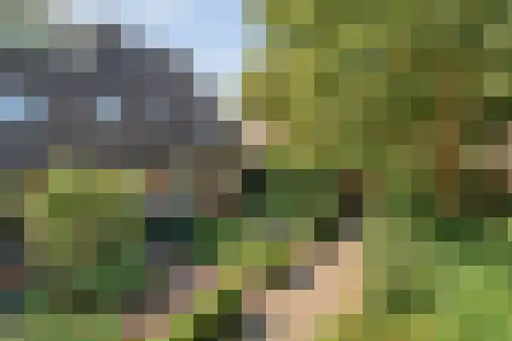 Prins Alexandererf 55 Nunspeet thumbnail 6