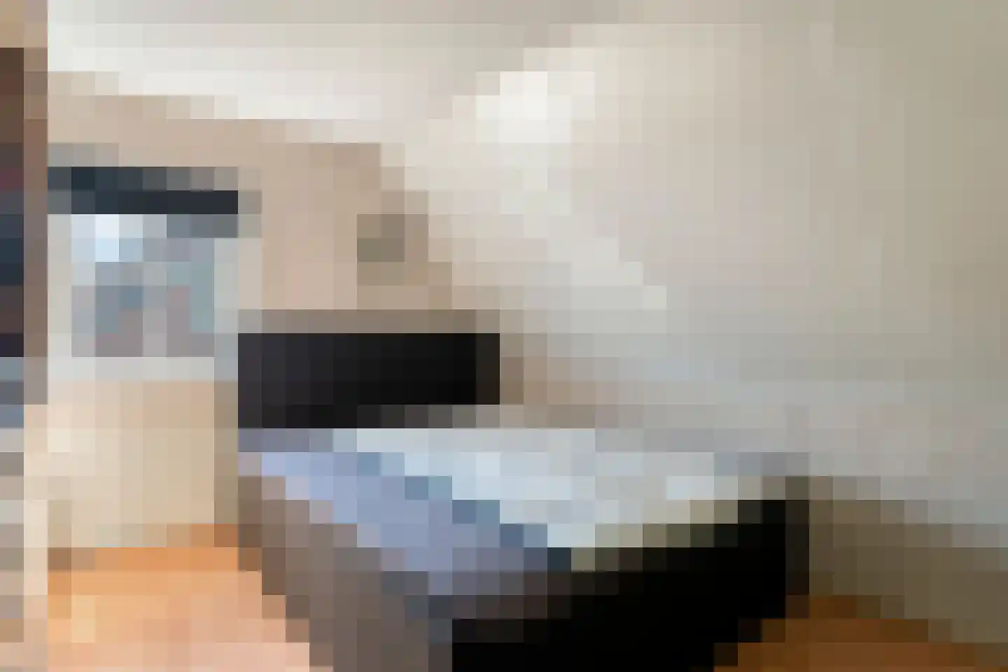 Prins Alexandererf 71 Nunspeet thumbnail 10