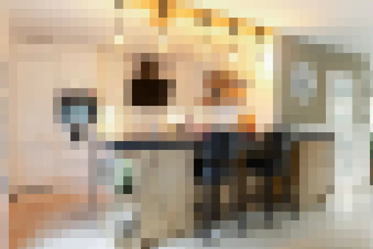 Prins Alexandererf 71 Nunspeet thumbnail 13