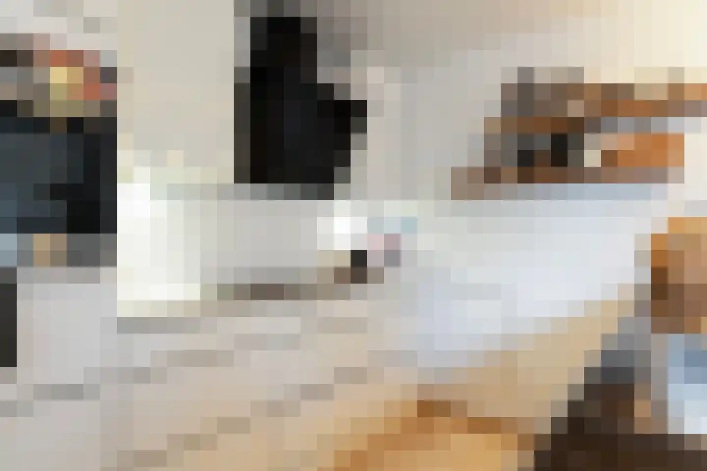 Prins Alexandererf 71 Nunspeet thumbnail 14