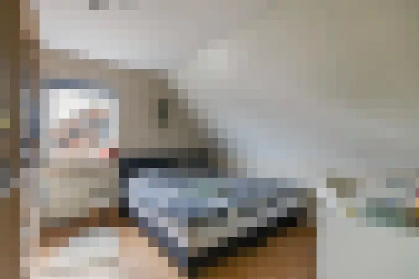 Prins Alexandererf 71 Nunspeet thumbnail 22