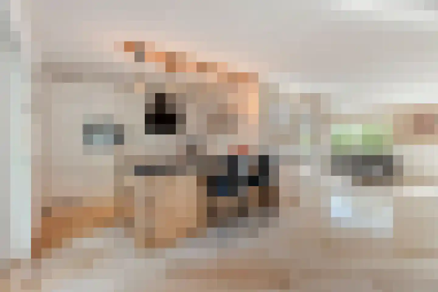 Prins Alexandererf 71 Nunspeet thumbnail 27