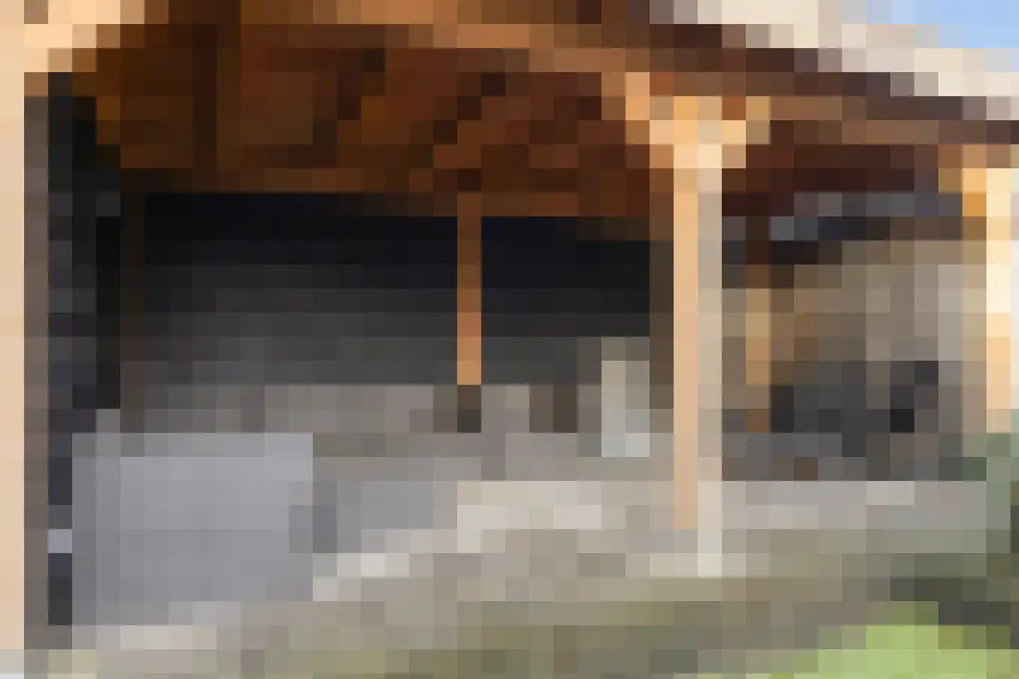 Prins Alexandererf 71 Nunspeet thumbnail 31