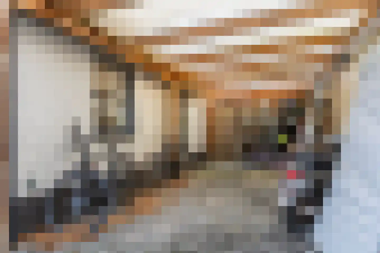 Prins Alexandererf 71 Nunspeet thumbnail 34