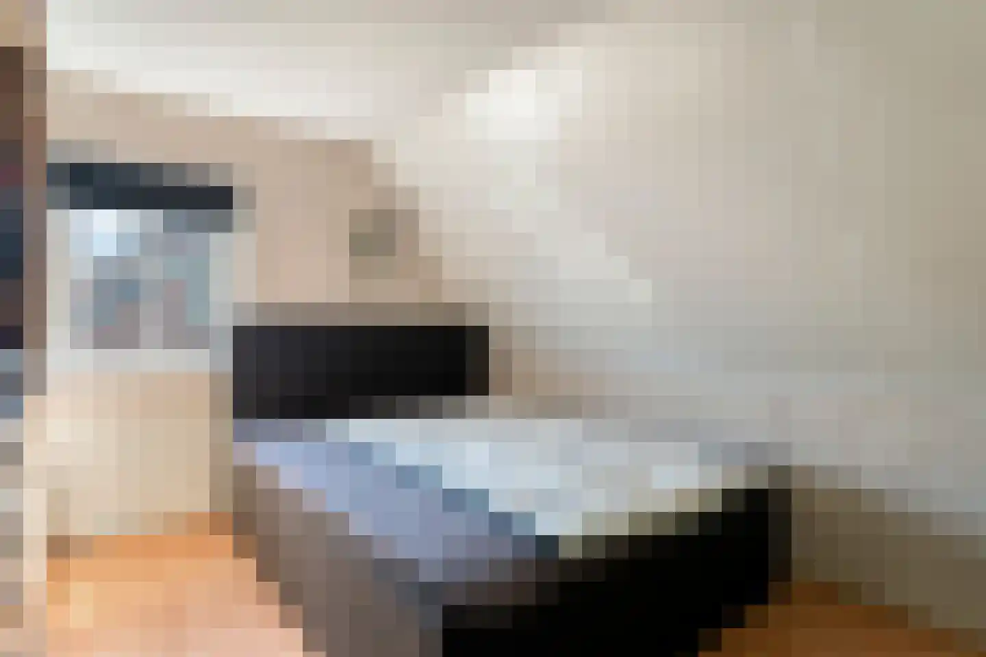 Prins Alexandererf 71 Nunspeet thumbnail 37