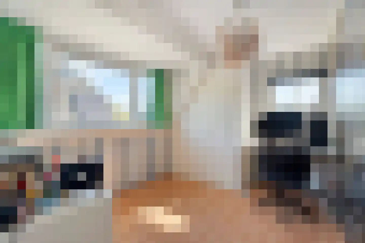 Prins Alexandererf 71 Nunspeet thumbnail 38