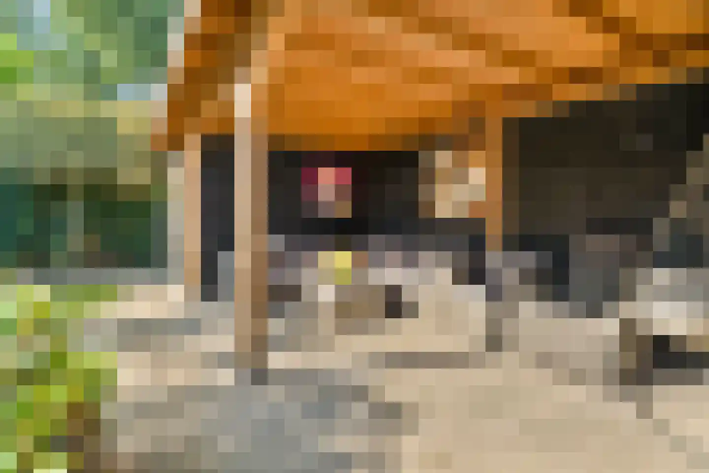 Prins Alexandererf 71 Nunspeet thumbnail 50