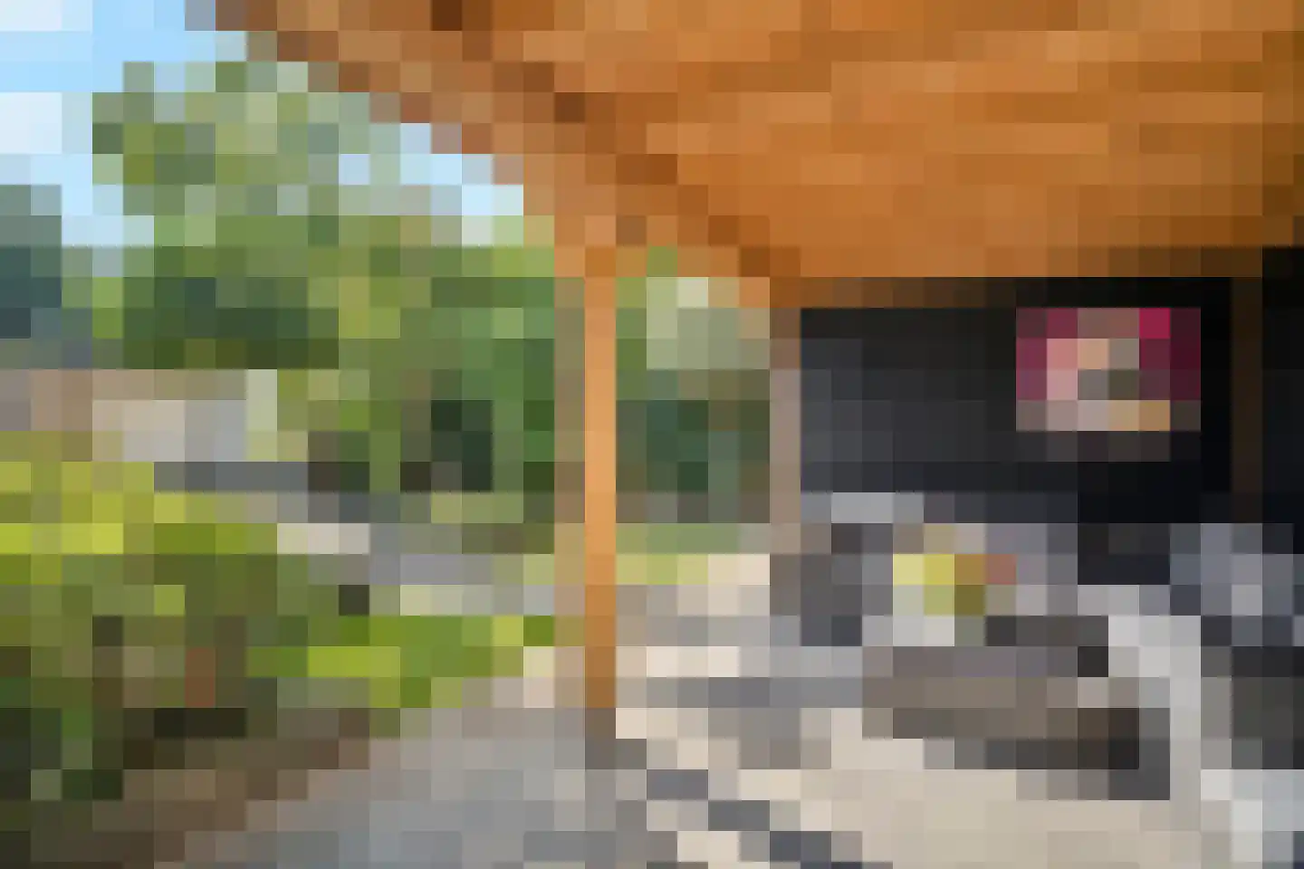 Prins Alexandererf 71 Nunspeet thumbnail 56
