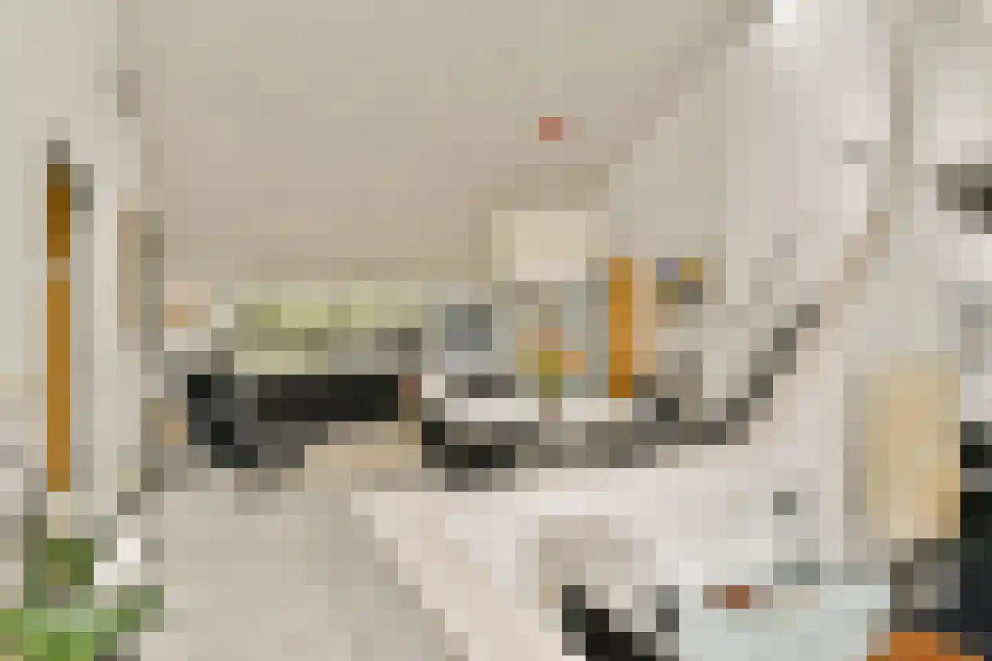 Prins Alexanderlaan 10 Vlaardingen thumbnail 10