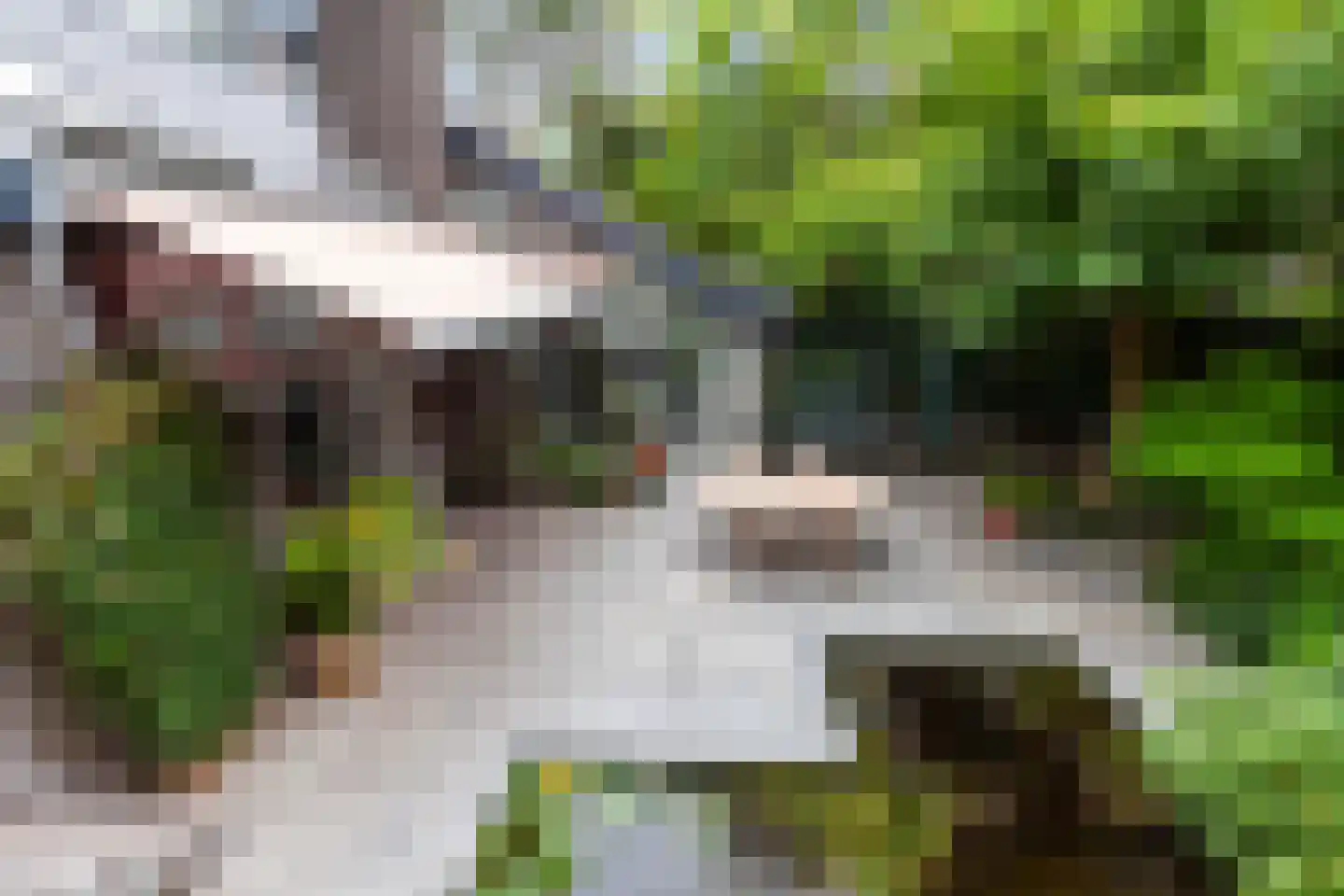 Prins Alexanderlaan 10 Vlaardingen thumbnail 11