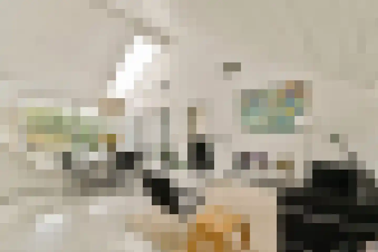 Prins Alexanderlaan 10 Vlaardingen thumbnail 11