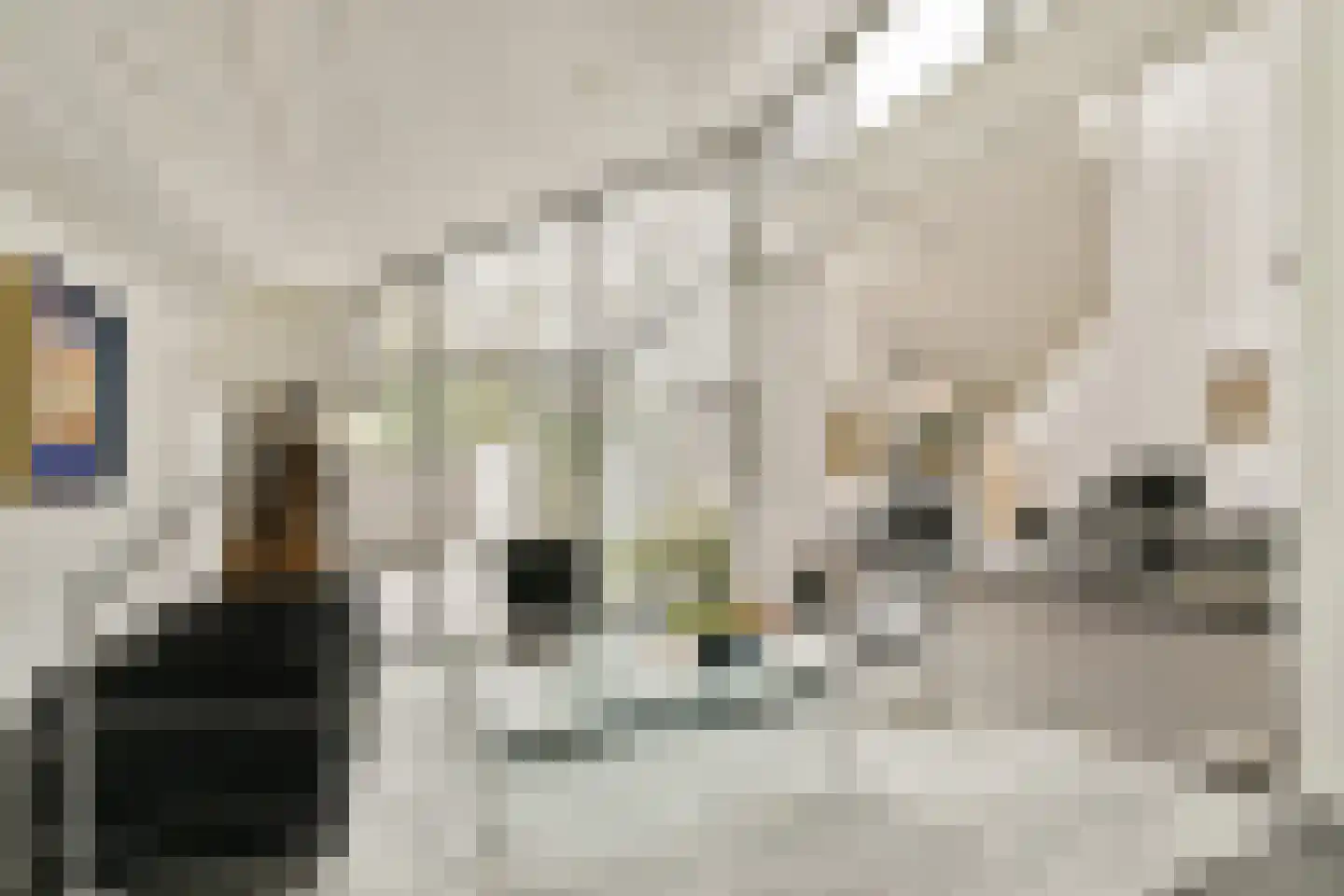Prins Alexanderlaan 10 Vlaardingen thumbnail 14