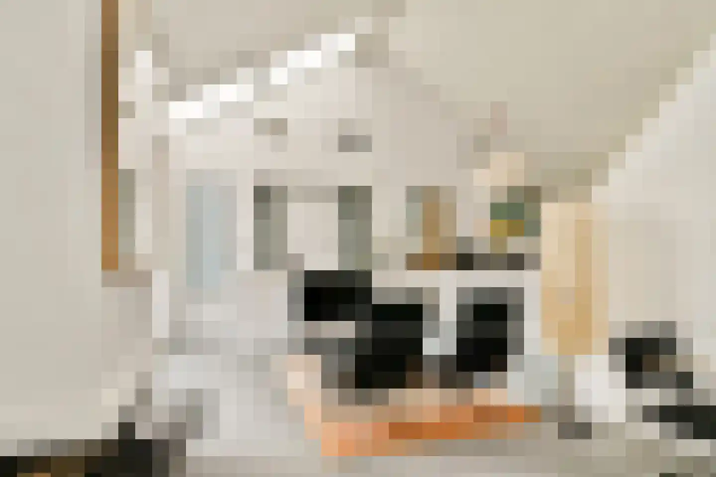 Prins Alexanderlaan 10 Vlaardingen thumbnail 15