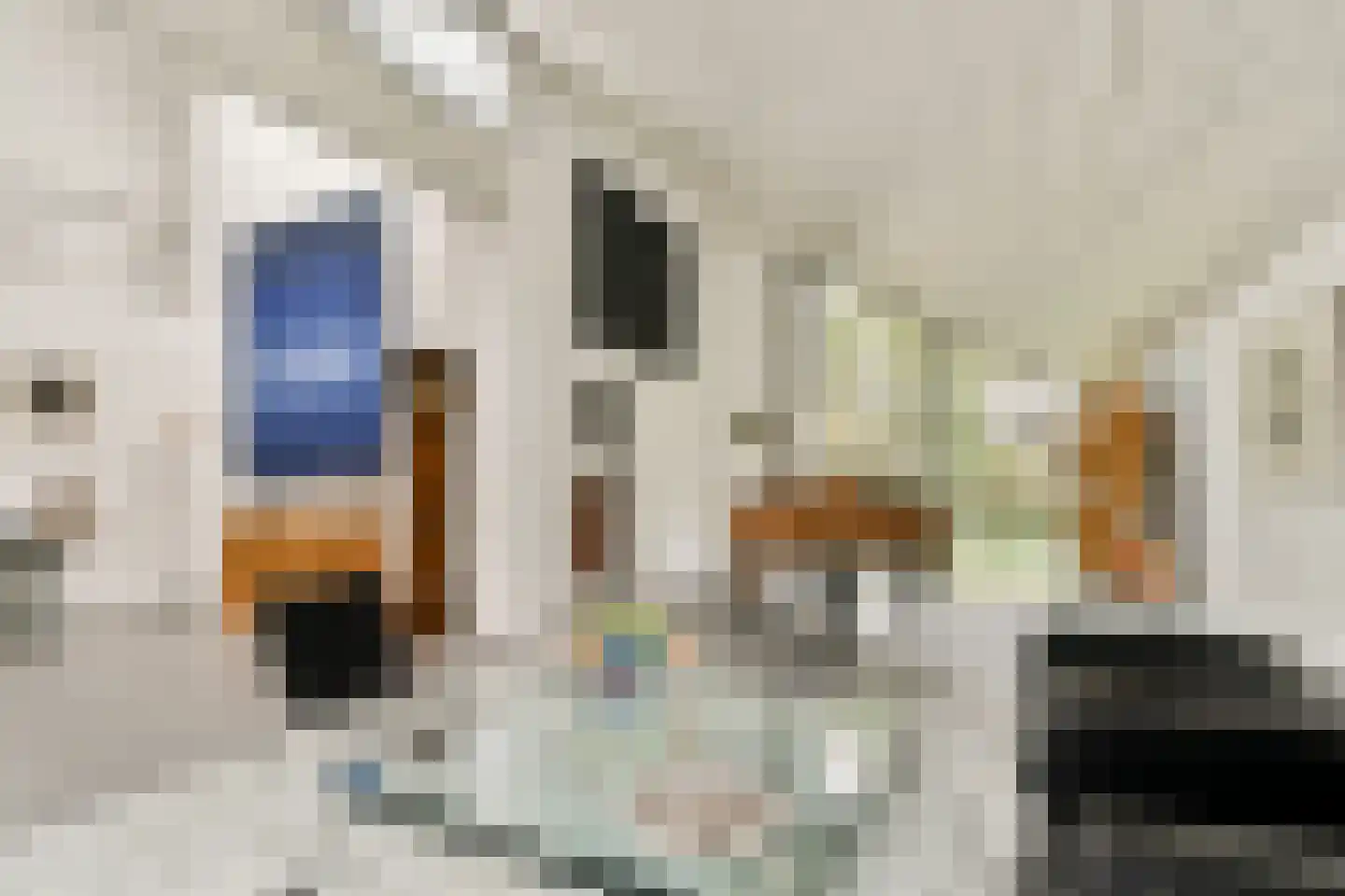 Prins Alexanderlaan 10 Vlaardingen thumbnail 16