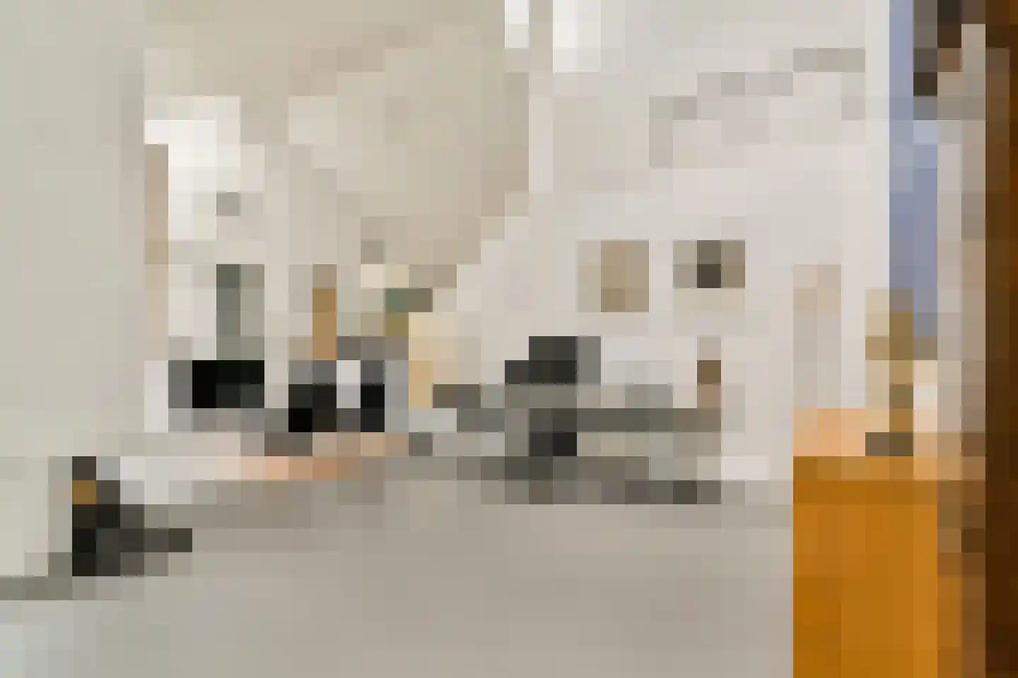 Prins Alexanderlaan 10 Vlaardingen thumbnail 17
