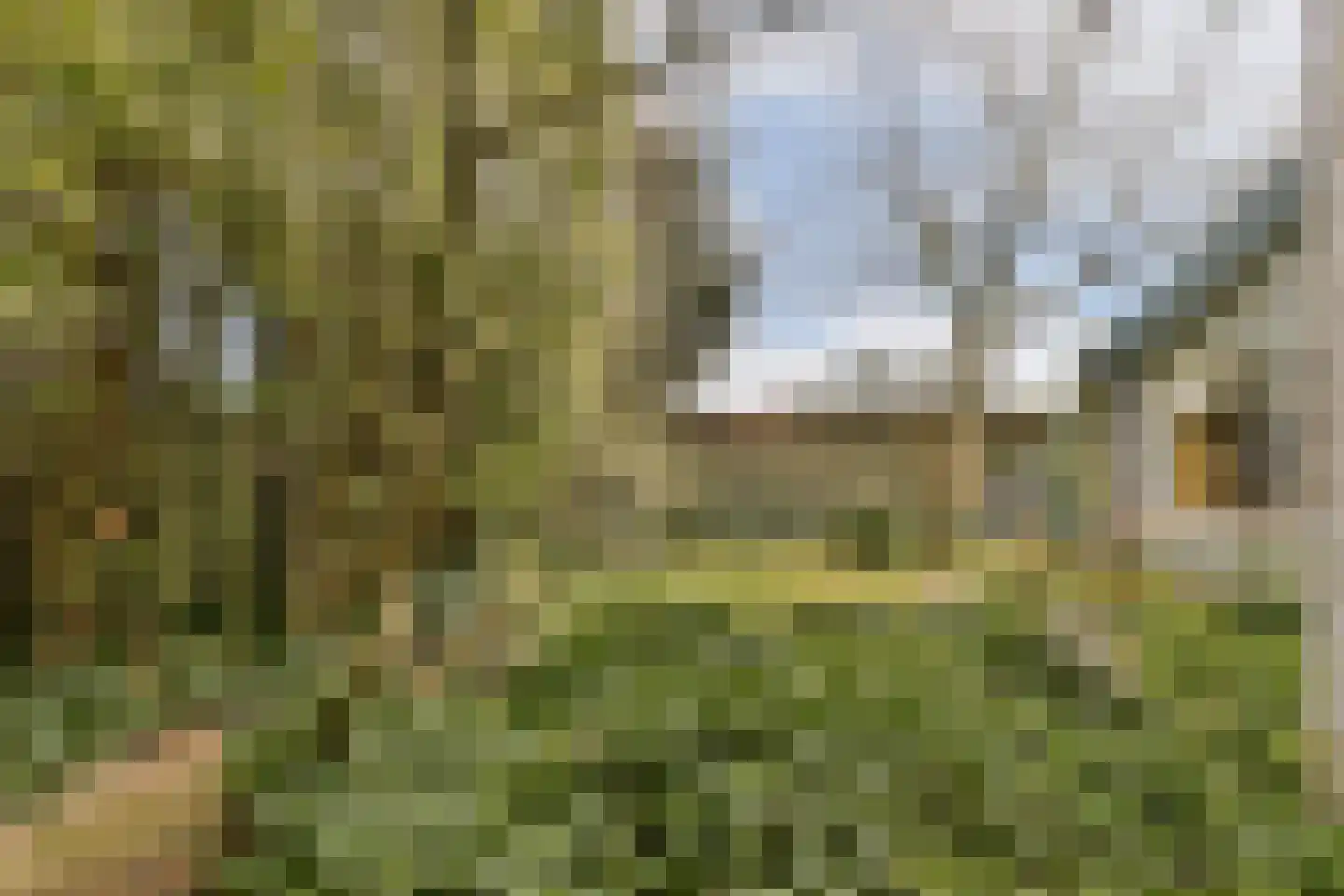 Prins Alexanderlaan 10 Vlaardingen thumbnail 34
