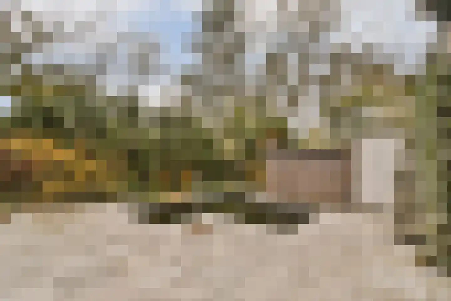 Prins Alexanderlaan 10 Vlaardingen thumbnail 37