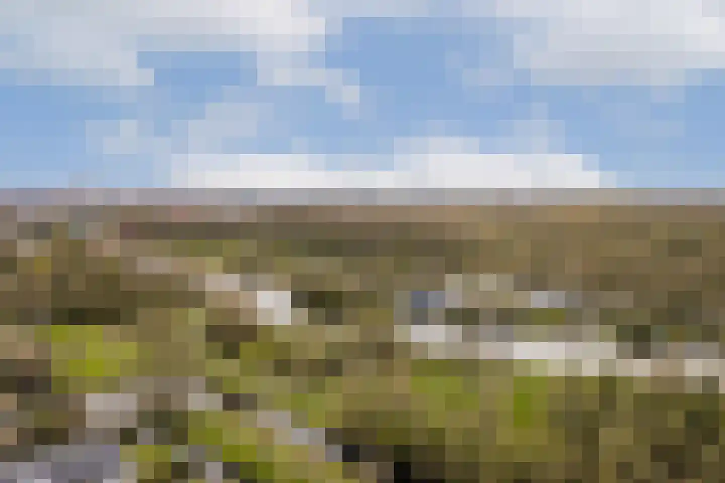 Prins Alexanderlaan 10 Vlaardingen thumbnail 42