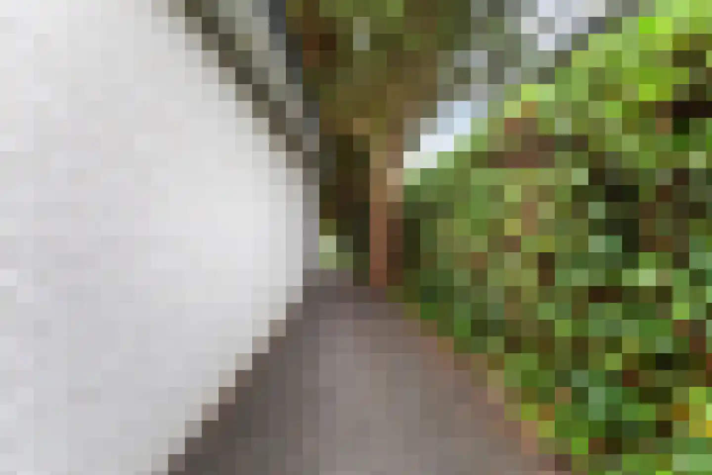 Prins Alexanderlaan 10 Vlaardingen thumbnail 48