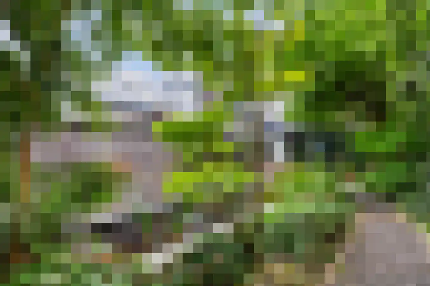 Prins Alexanderlaan 10 Vlaardingen thumbnail 51