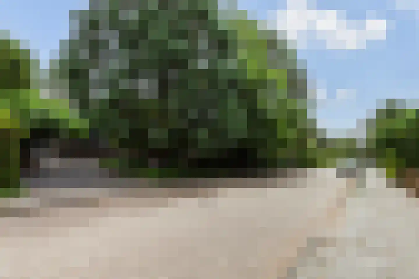 Prins Alexanderlaan 10 Vlaardingen thumbnail 6