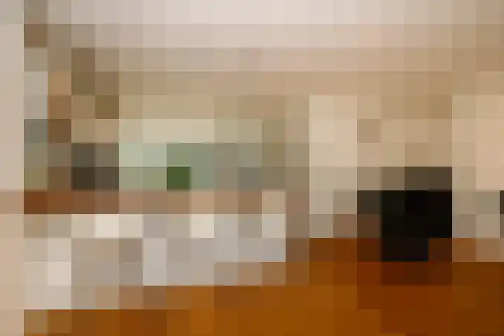 Prins Alexanderlaan 114 Nieuwerkerk aan den IJssel thumbnail 10