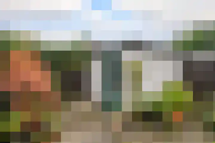 Prins Alexanderlaan 114 Nieuwerkerk aan den IJssel thumbnail 28