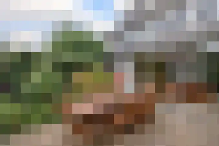 Prins Alexanderlaan 114 Nieuwerkerk aan den IJssel thumbnail 29