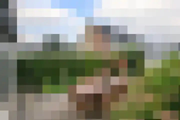 Prins Alexanderlaan 114 Nieuwerkerk aan den IJssel thumbnail 32