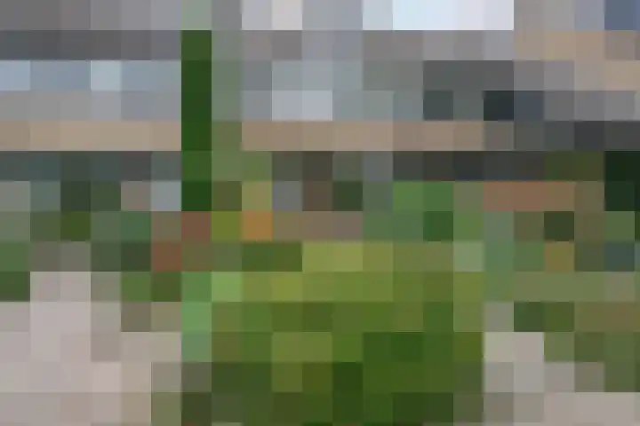 Prins Alexanderlaan 114 Nieuwerkerk aan den IJssel thumbnail 36