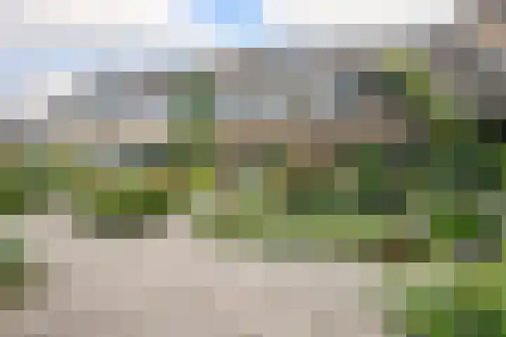 Prins Alexanderlaan 114 Nieuwerkerk aan den IJssel thumbnail 4