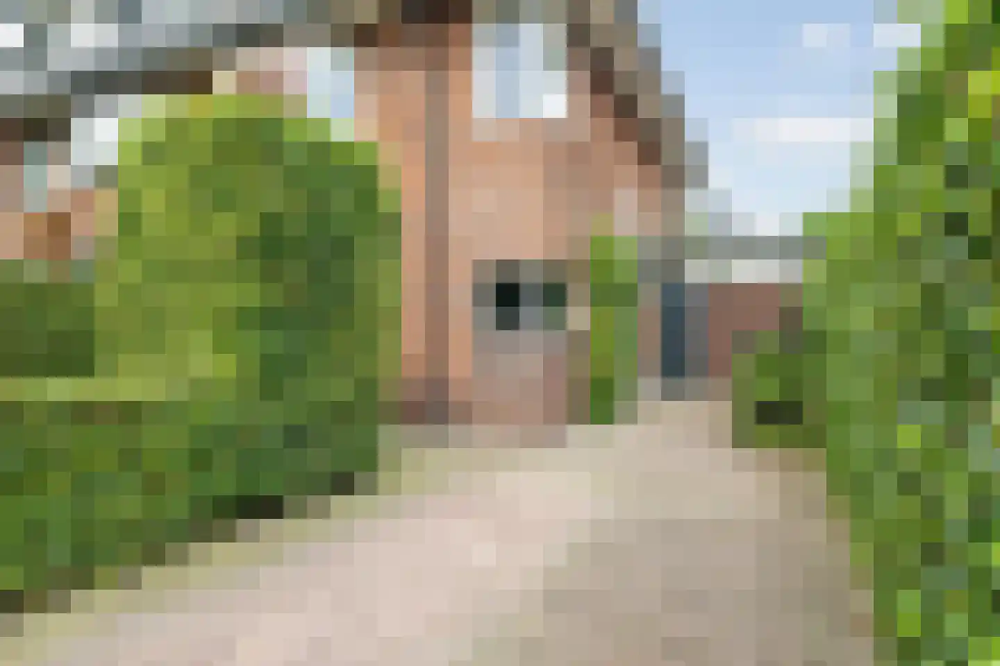 Prins Alexanderlaan 23 Breda thumbnail 10