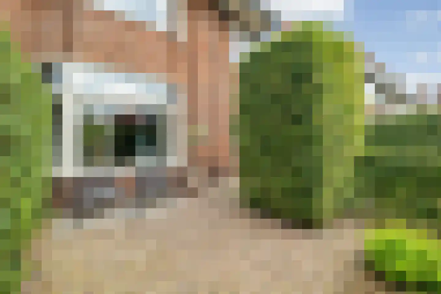 Prins Alexanderlaan 23 Breda thumbnail 11