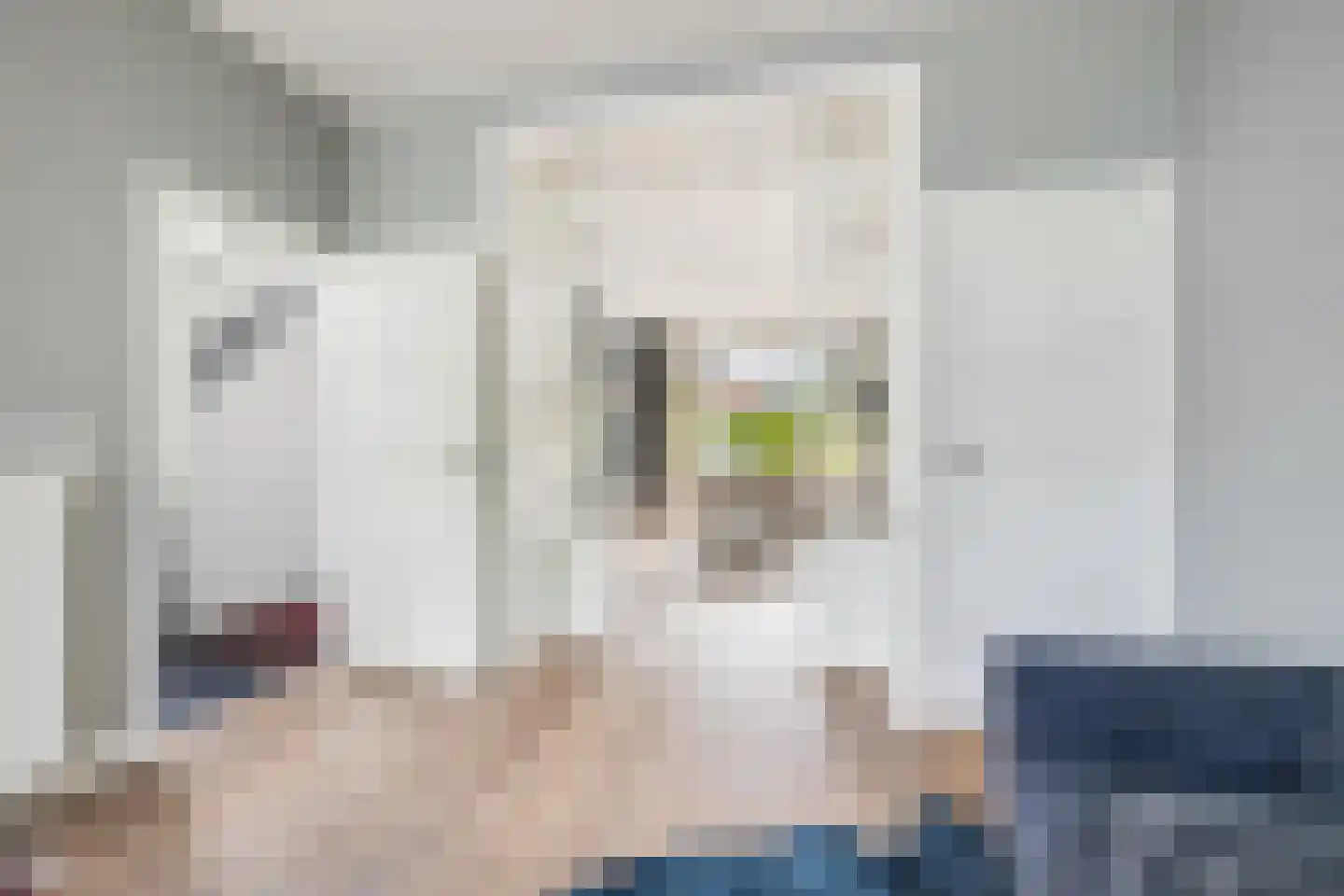 Prins Alexanderlaan 23 Breda thumbnail 19