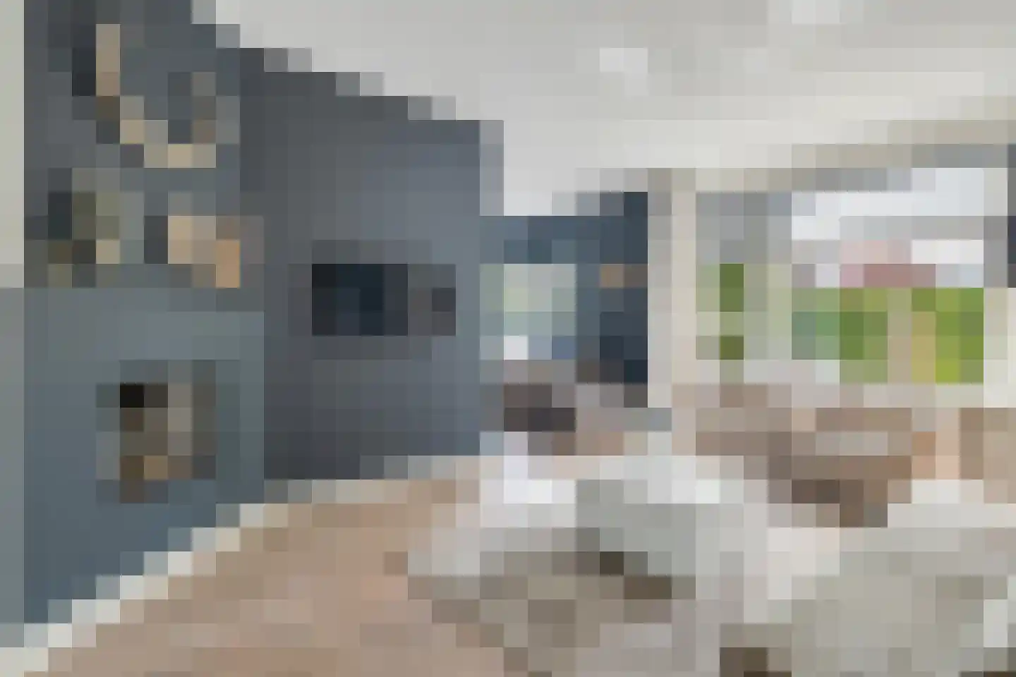 Prins Alexanderlaan 23 Breda thumbnail 22