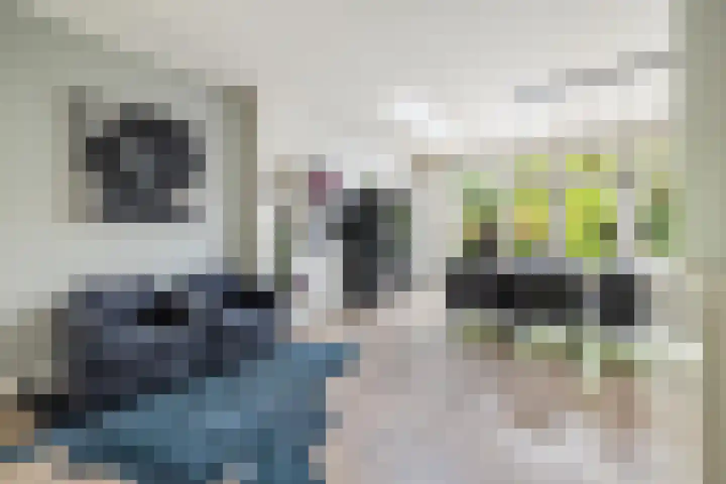 Prins Alexanderlaan 23 Breda thumbnail 29